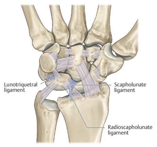 Wrist Ligaments Mri 